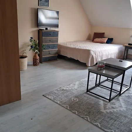 Des Cygnes Apartman *
